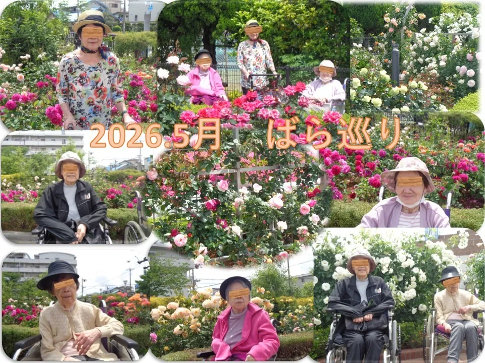 令和8年5月20日㈬ バラを見に行ってきました